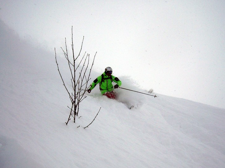 Skön åkning på Galzig med lite buskar som riktm. Foto: Steffe Jonasson. Åkare: Robert Hortlund.