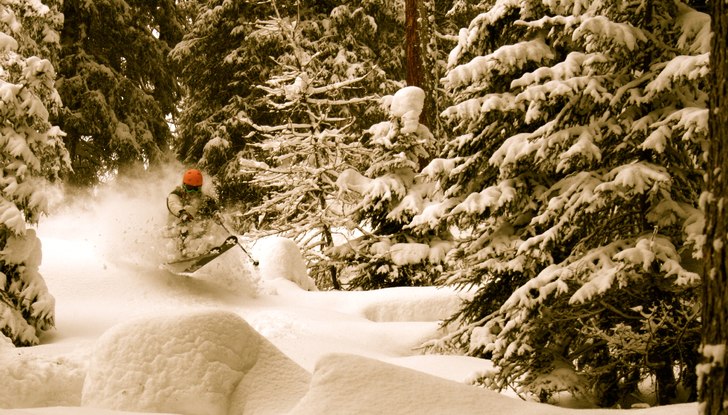 Foto: Patrik Holmqvist. Åkare: Per Jansson.