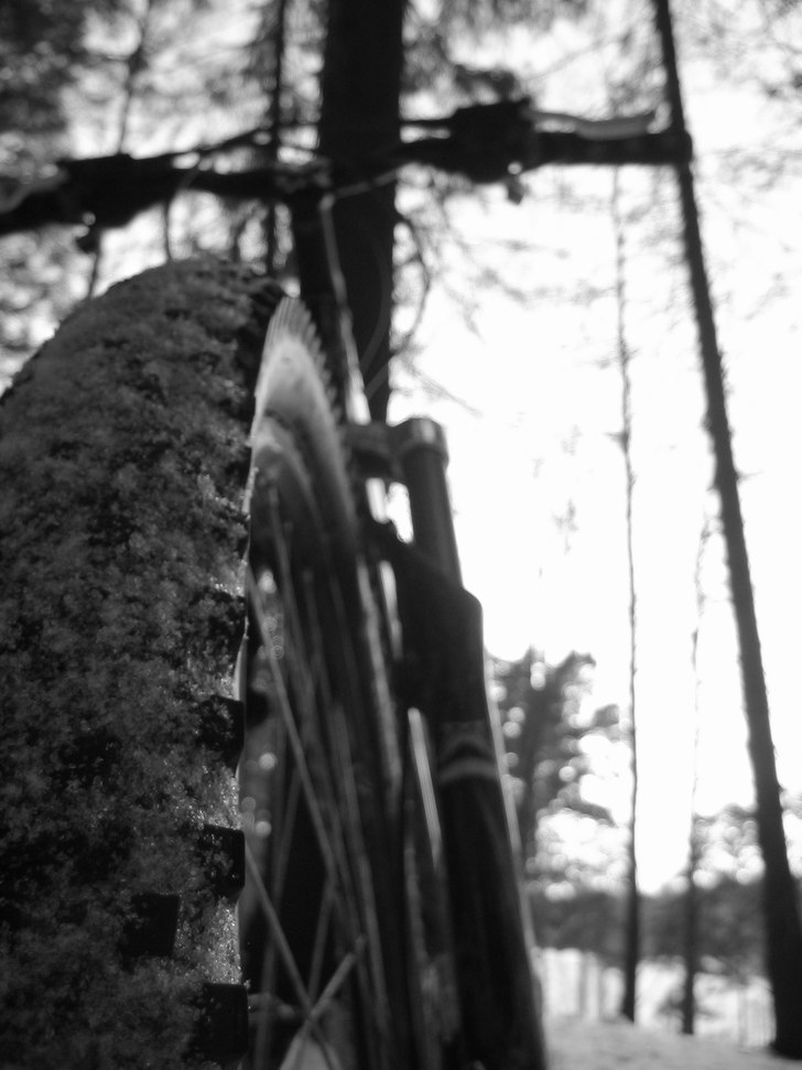 PhotoSession för några veckor sedan, "lekte. Foto: Viktor Åsander. Åkare: Viktor Åsander.