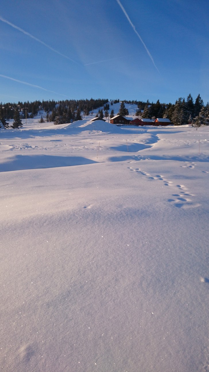 10.00-15.00 Lørdag og Søndag 
.
