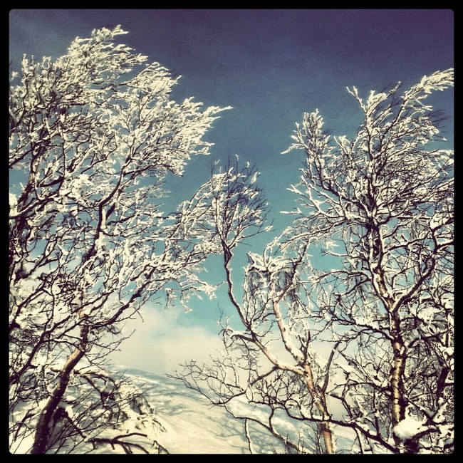 Foto: hampusfjällstedt.