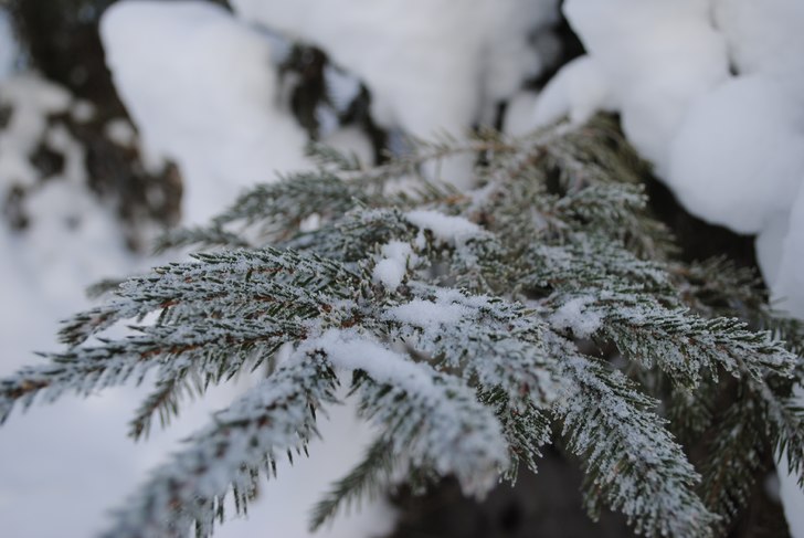 Foto: Linn Östlund.