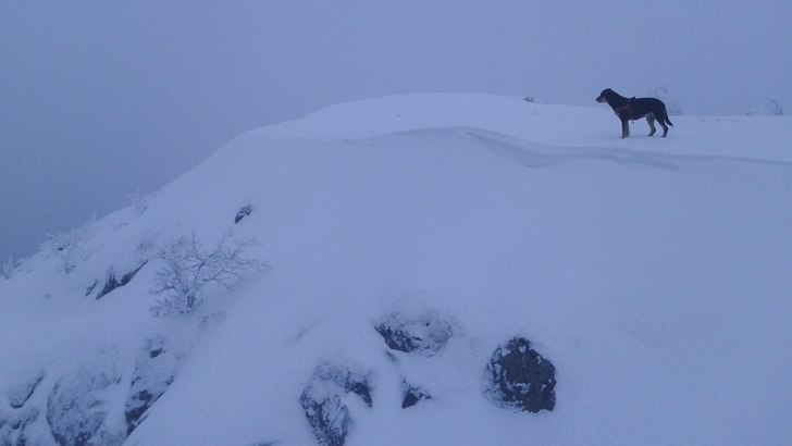 Toppen av rännan, med skutta längtansfullt spana. Foto: tryggve tiren.