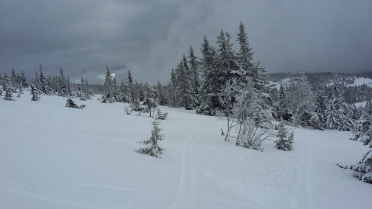 Set snør!
Det snør på fjellet i dag! Velkommen .