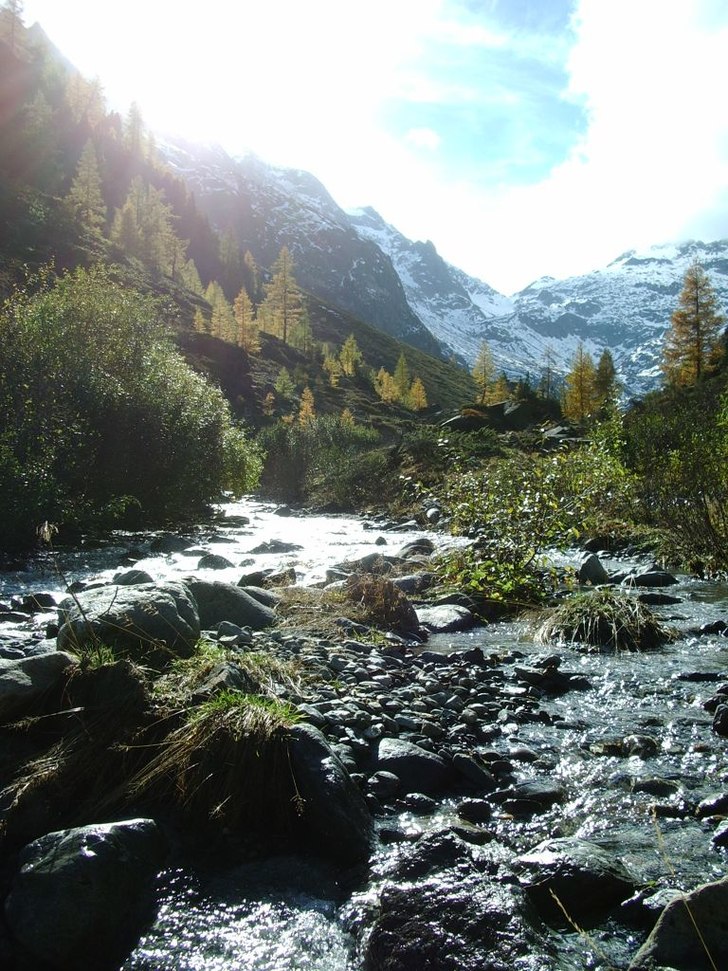 Foto: Carro Holmqvist.