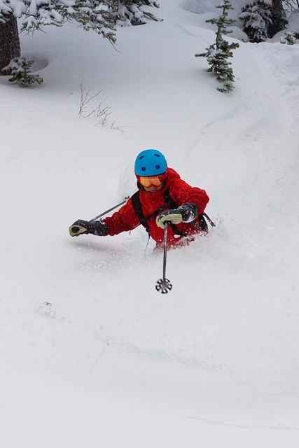 Shredding early season pow between the tress. Foto: Erik Mauer. Åkare: Johan Jidinger.