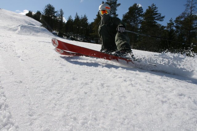 pimp. Foto: Agnes Möller Andersen. Åkare: Jesper Hayland.