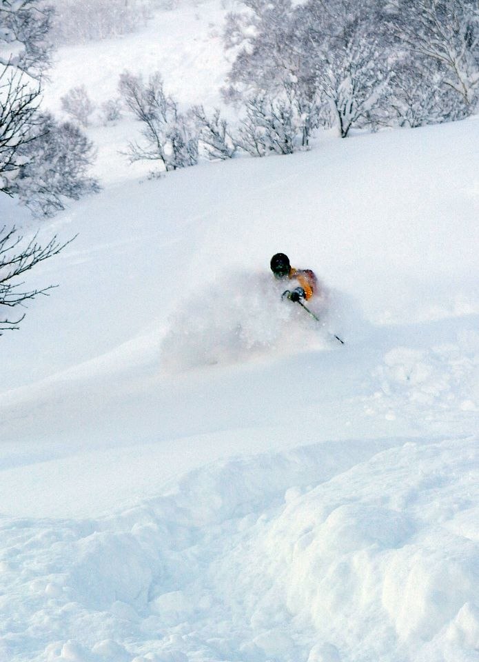 Foto: Ulf Enarsson. Åkare: Nils Jönsson.