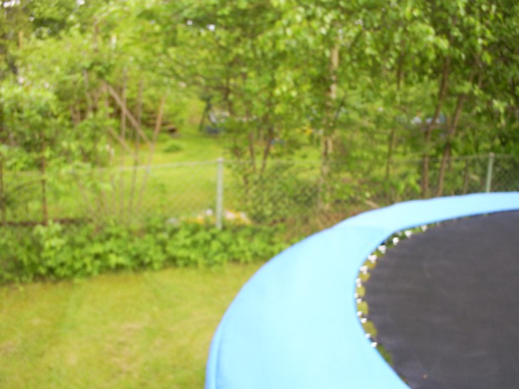 bivisar för kjell-ner att träden inte slutar dä. Foto: adam. Åkare: ingen.