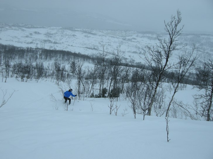 "Men pappa, har du tenkt at jeg skal ødelegg. Foto: Per Hasvold. Åkare: Hanna.