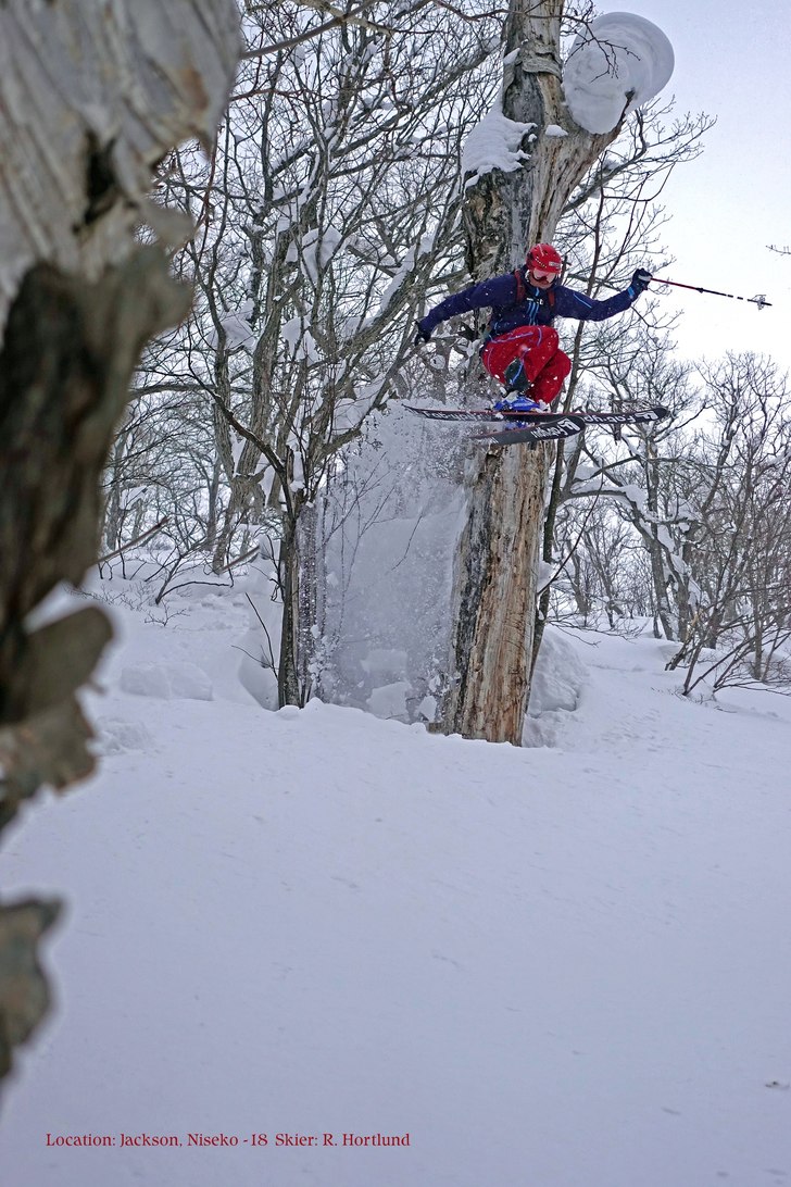 “TreeSkiing”!!... in Jackson Area Niseko. Foto: J Molin. Åkare: R. Hortlund.