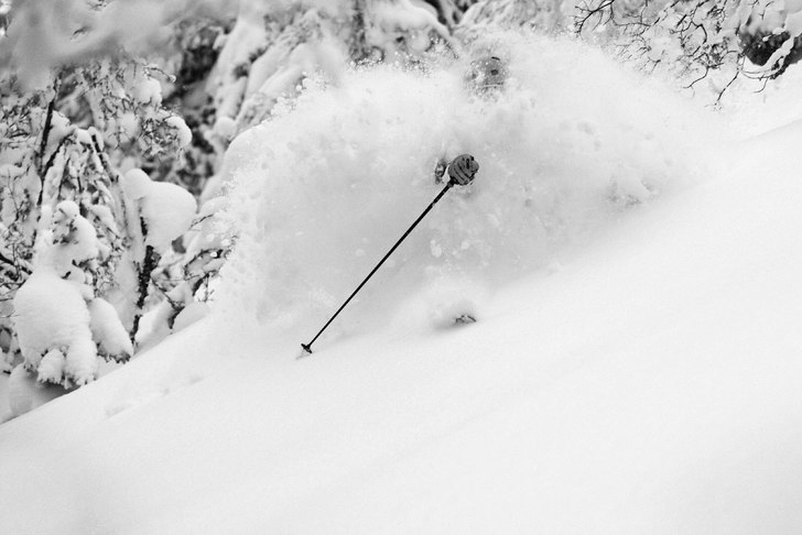 Foto: Jonathan Birkemyr. Åkare: Patrik Rämström.