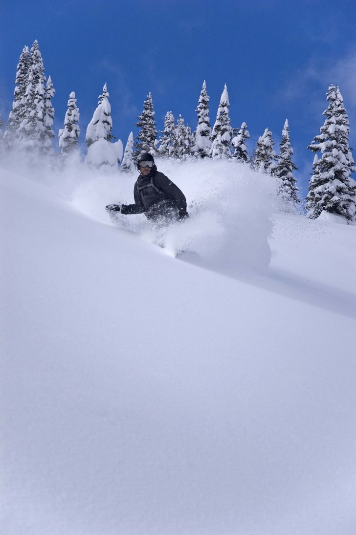 Äntrar skogen efter T1.. Foto: göran månsson. Åkare: Erik Pernestam.
