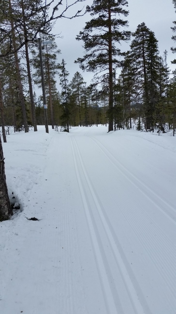 Botten av åket. Staka dig bort längs längdspår.