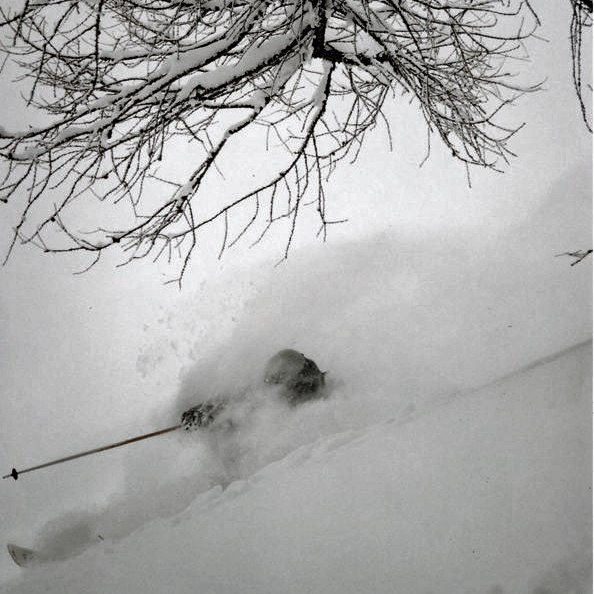 Härliga puder.. Foto: Martin. Åkare: Björn .