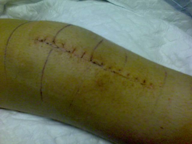 frankenstein. Foto: camilla. Åkare: jonas wall.