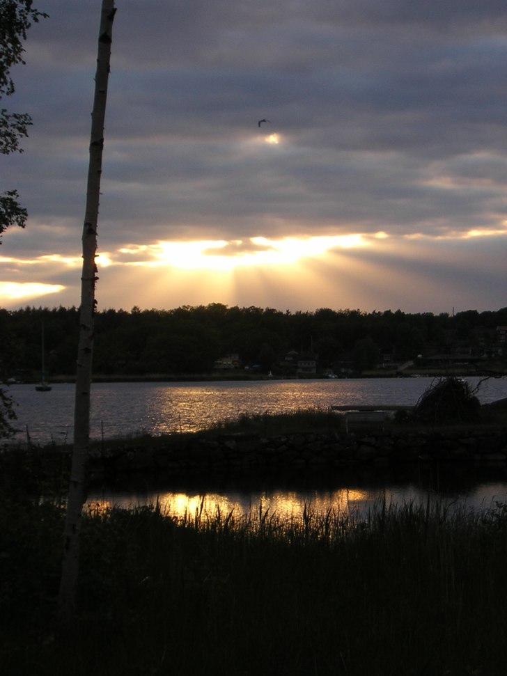 Viken vid sommarstugan i Blekinge.. Foto: Erik Thorsell.