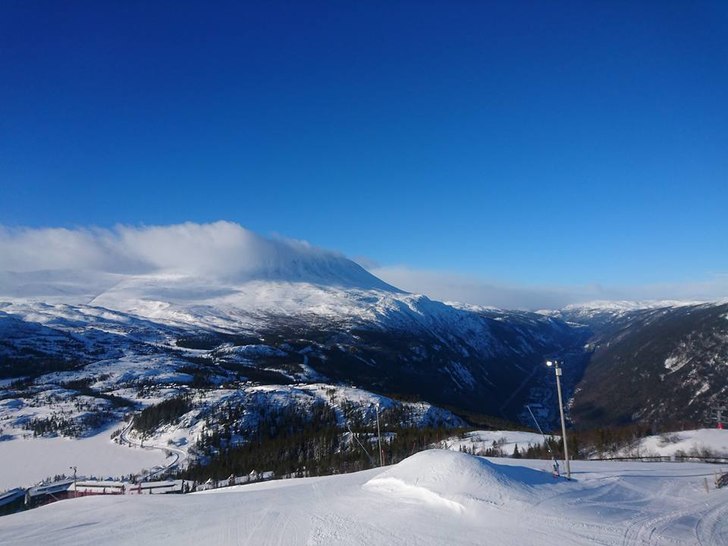 Mildt og godt
Med bilde fra gårsdagen ønsker vi .