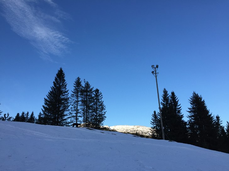 Vi venter på kulda...❄️❄️❄️
.