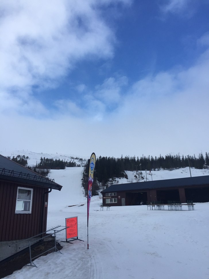 Det blir bra!!
Noen lette snødryss i natt, og pre.