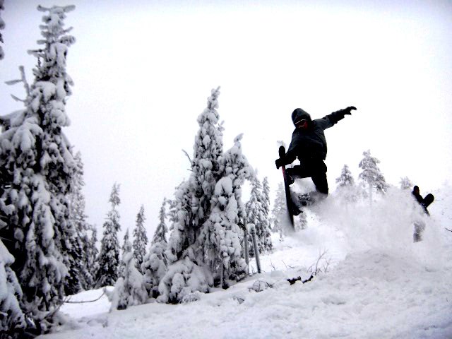 Foto: Adria baggström. Åkare: Manne Sandström.