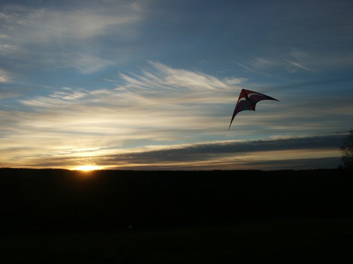 En fin höstdag på Älvestorps höjder.. Foto: Einar Kling Odencrants. Åkare: David Kling Odencrants.