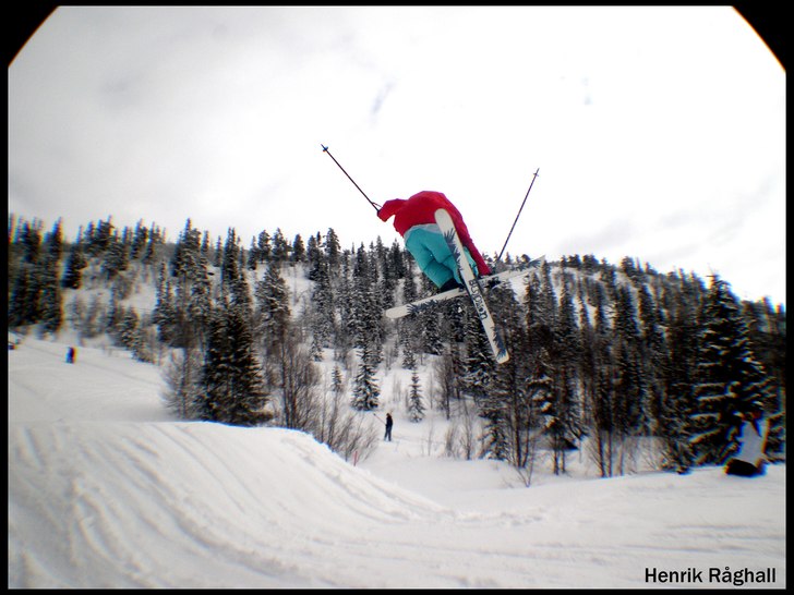 Henki drar en fet mute. Foto: Tobias Einebrant. Åkare: Henrik Råghall.