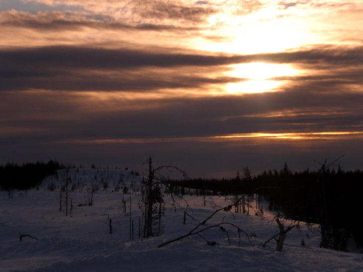 Foto: hampus johansson.