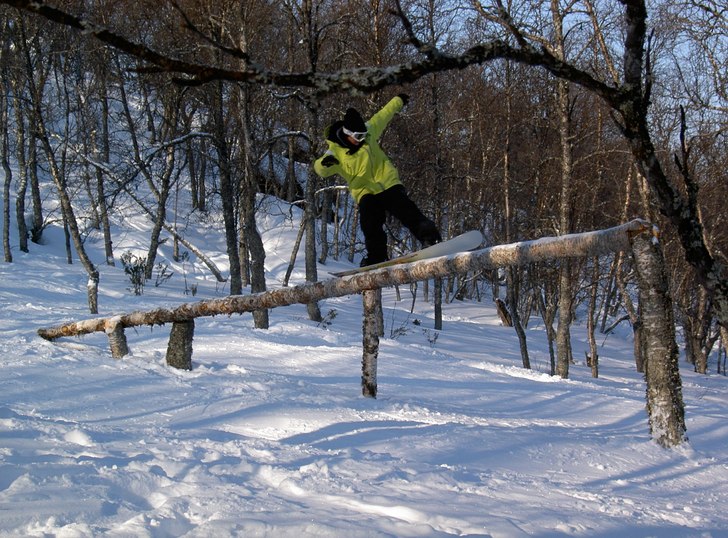 "Storstammen". Foto: Pake. Åkare: Arvid.