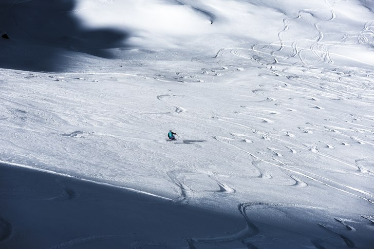 Perrin är en dåldis men ändå välkänd. Trotts. Foto: Axel Adolfsson.