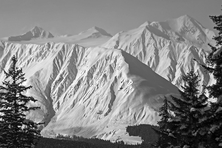 Foto: Oskar Enander.