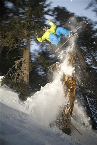 Foto: PP. Åkare: Niklas Hollsten.