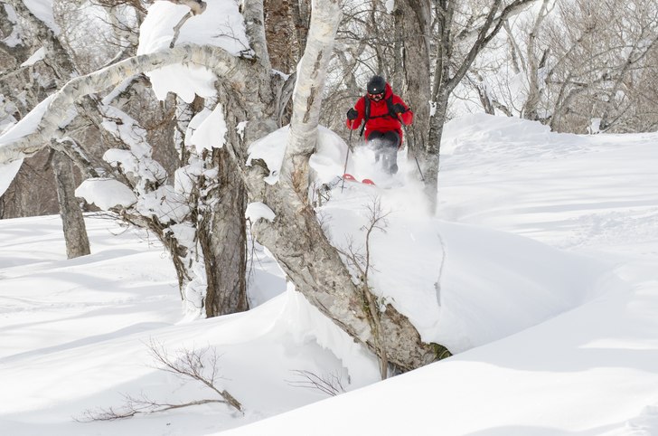 Foto: Olof Molin. Åkare: Andreas Ojamäe.