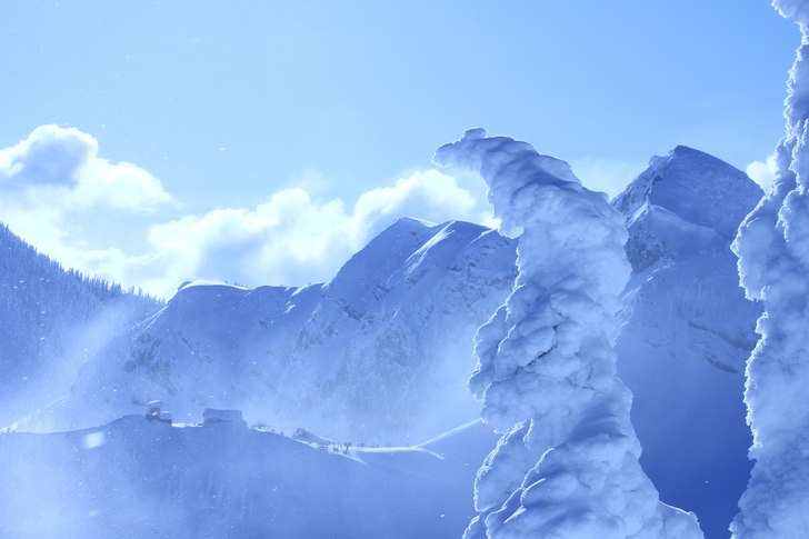 Foto: Joel Erikssom.