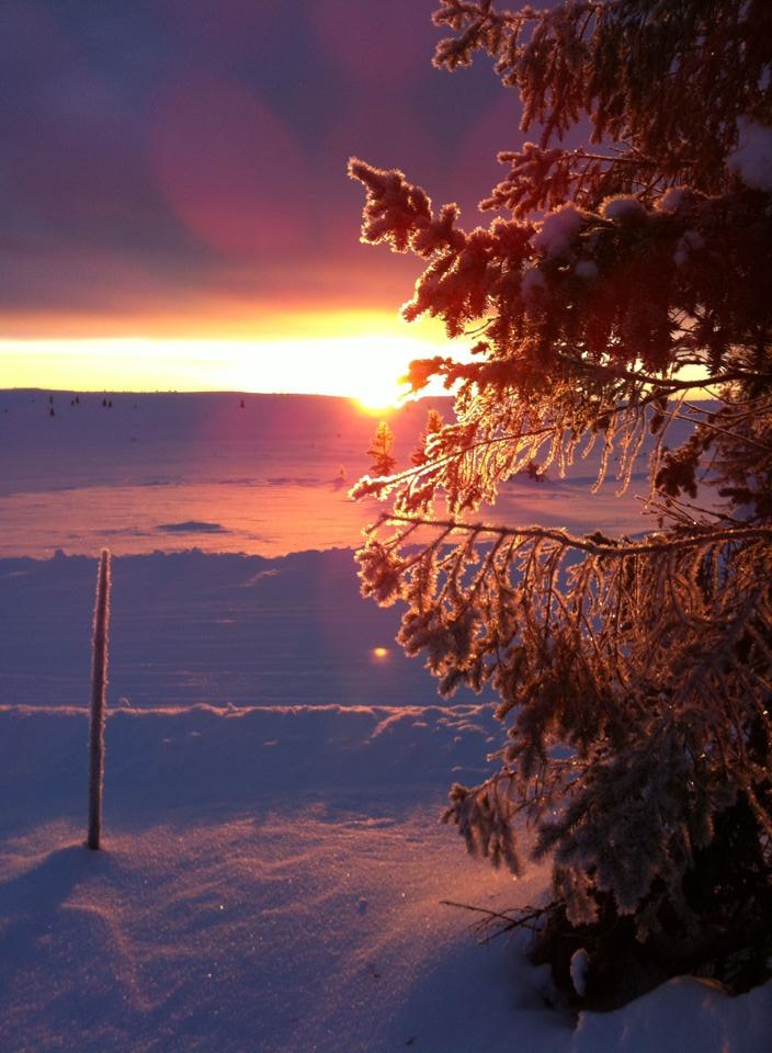 Heis går lørdager og søndager før jul
Vi kjør.