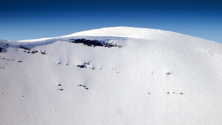 Foto: Bengt Hammari.