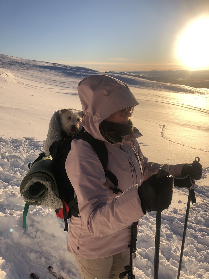 Topptur på Nipfjället Idre, hunden Snaps 14år �.