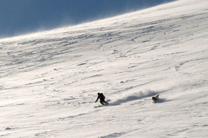 Foto: Gustav Holmer. Åkare: Katarina Reiz & Manu.