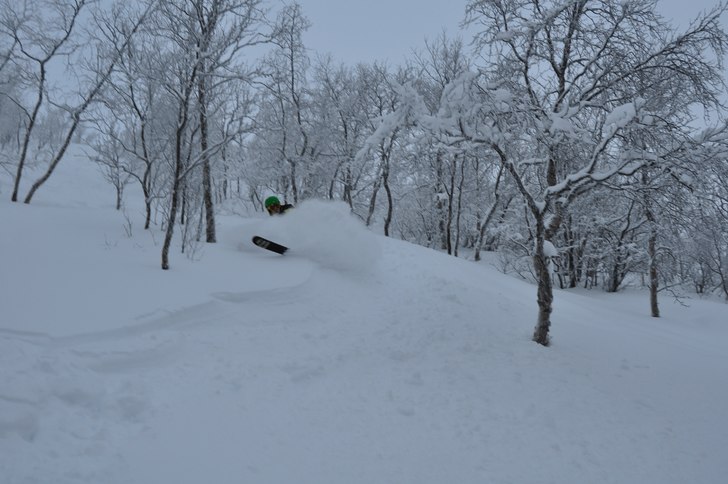 SNÖ!. Foto: wiljelm jutteerström. Åkare: simon fält.