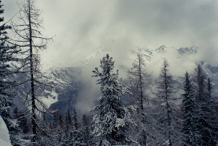 Foto: Albin Oskarsson.