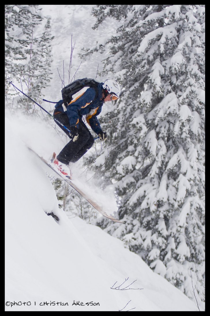 Martin hoppar runt lite mellan granarna i det ymni. Foto: Christian Åkesson. Åkare: Martin Holm.