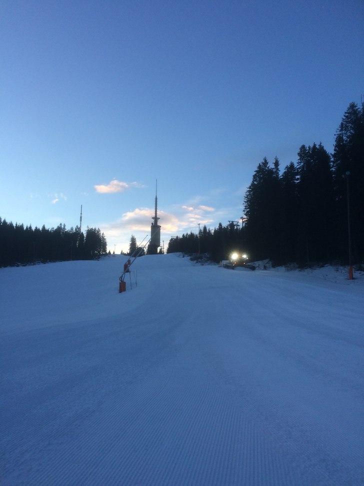 Klare for ny dag????
.