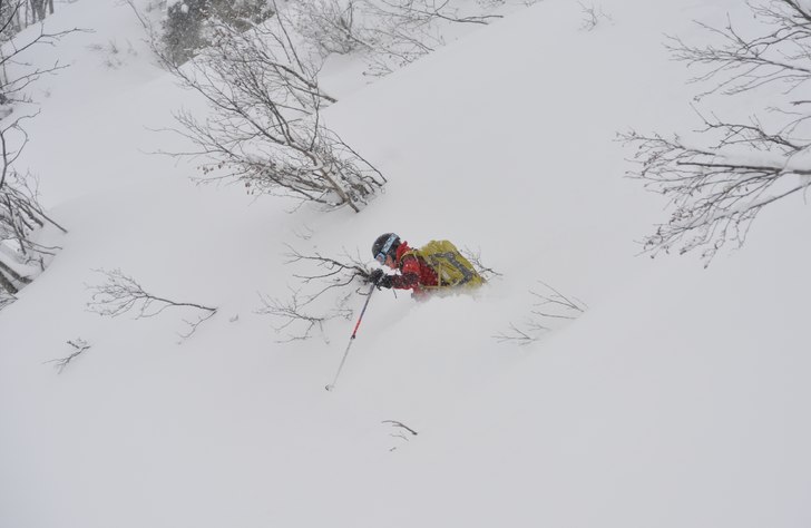 Foto: Lars Hansson. Åkare: Anna-Karin Drake.