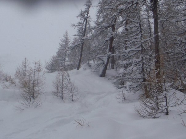 Foto: Alexander Östlund. Åkare: Anton Lif.