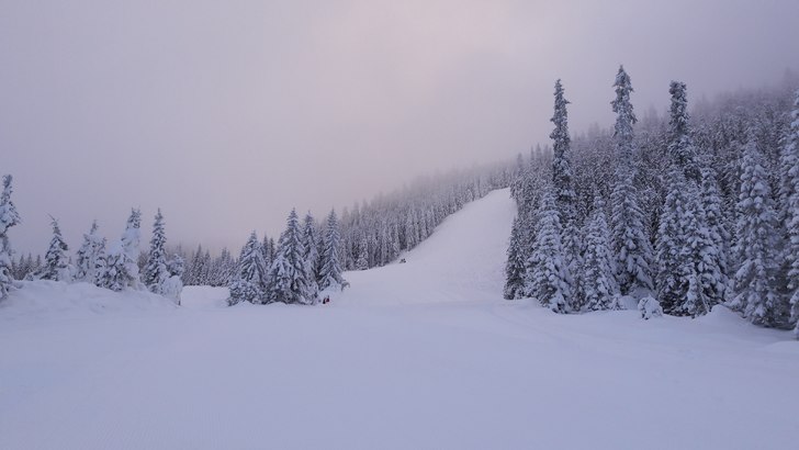 Kjempeføre! 
Nysnø og fantastiske forhold! .
