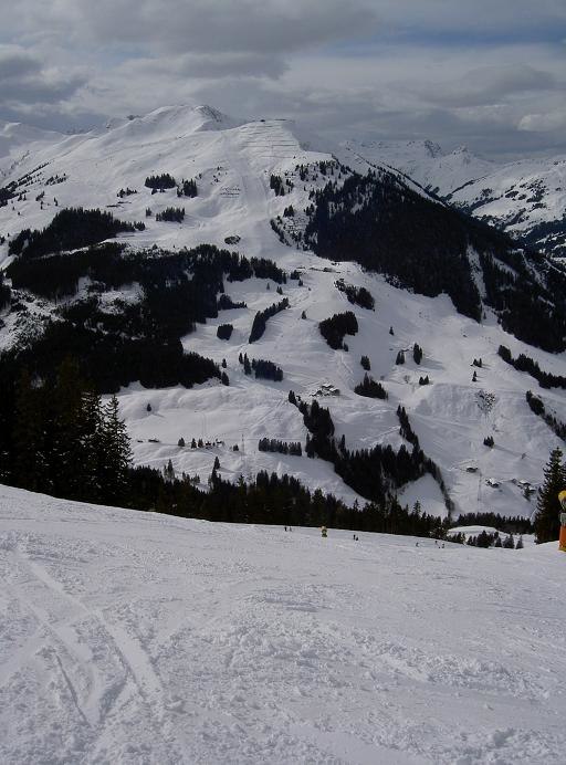 Utsikt nerför backen och över hinterglemmsidan.. Foto: Peter Viveland. Åkare: Ingen.