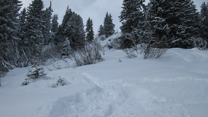 Fluff!!. Foto: Fredrik Selander. Åkare: Tobias Rydberg.