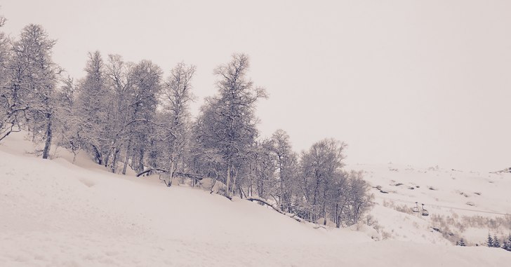 Masse nysnø
Vi har fått ca 15 cm nysnø i dag, o.
