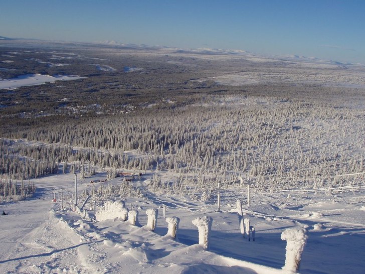 Foto: Fredrik Åkerblom.