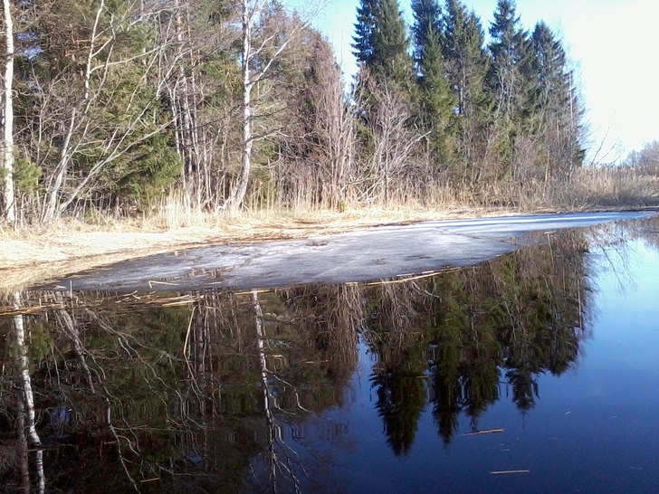 Roing i älvdeldat. Foto: ian Archibald.